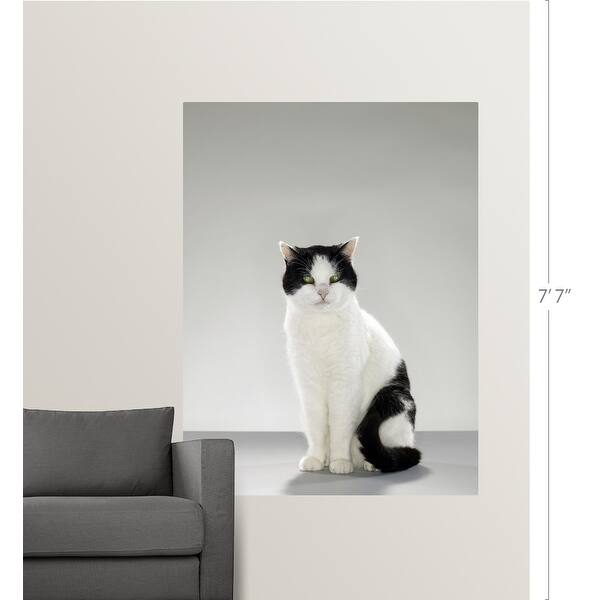 Shop Black And White Cat With Glowing Green Eyes Poster Print