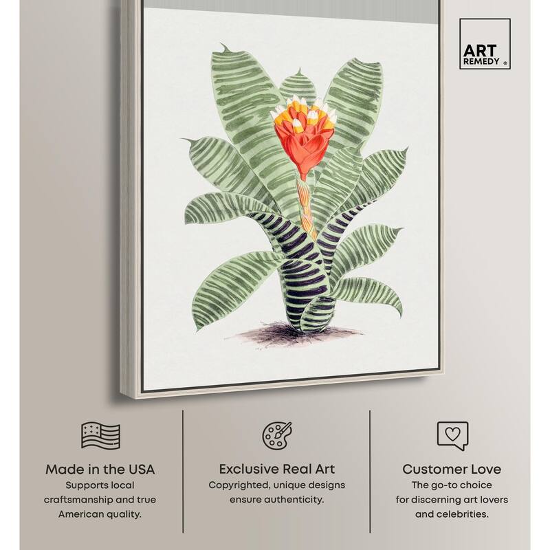 Tillandsia Musaica Plant Canvas by Art Remedy