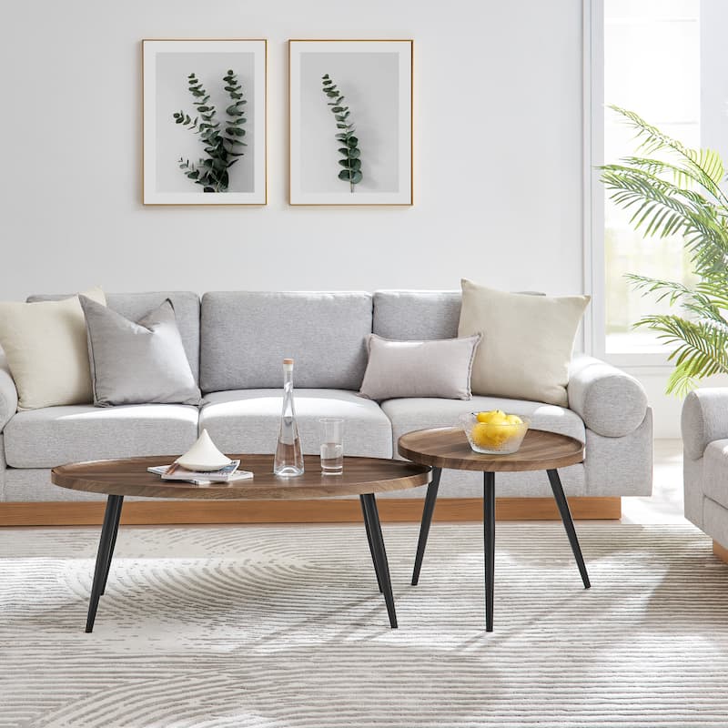 Danya B. Paxton Nesting Raised Lip Edge 2 Piece Coffee Table Set with