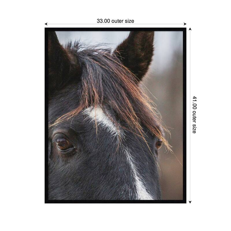 Kate and Laurel Black and White Horse by Emiko and Mark Franzen F2 Images Framed Wall Art Print
