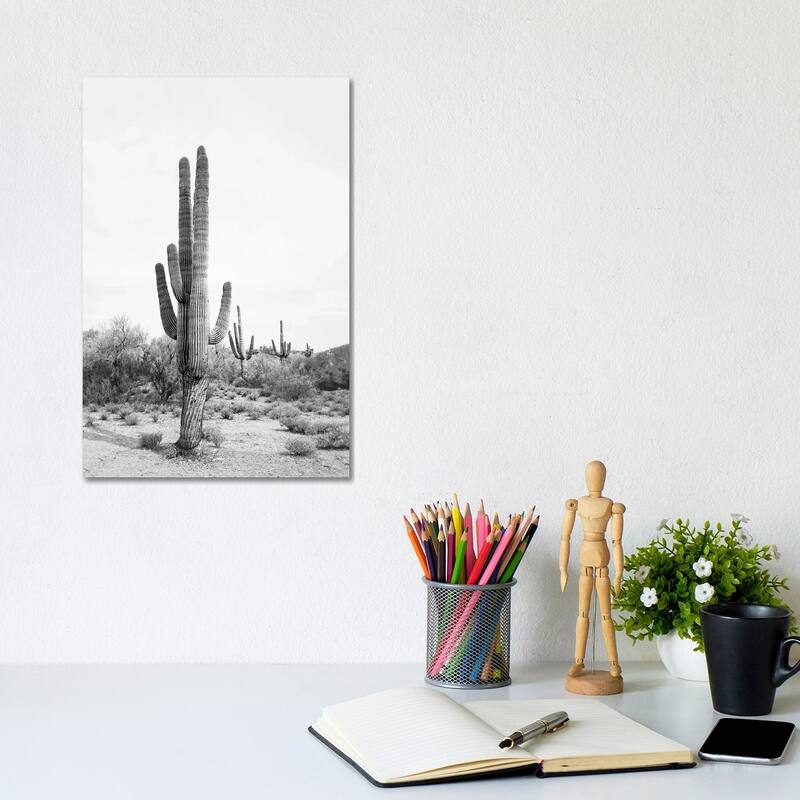 iCanvas "Desert Cactus In Black & White" by Sisi & Seb Canvas Print - 12x8x0.75