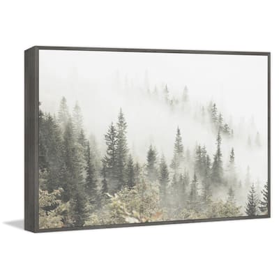 Pine Trees and Fog Floater Framed Print on Canvas