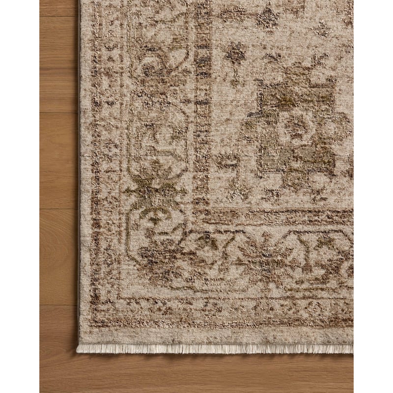 Alexander Home Halden Traditional Area Rug
