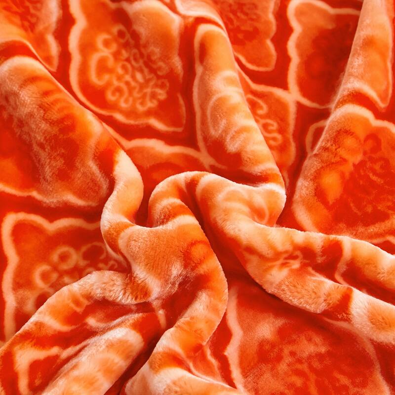 Reversible 10.5 Pounds Plush Fleece Blankets, 2 PLY A&B Design 87" x 95" Bed Blankets for Winter