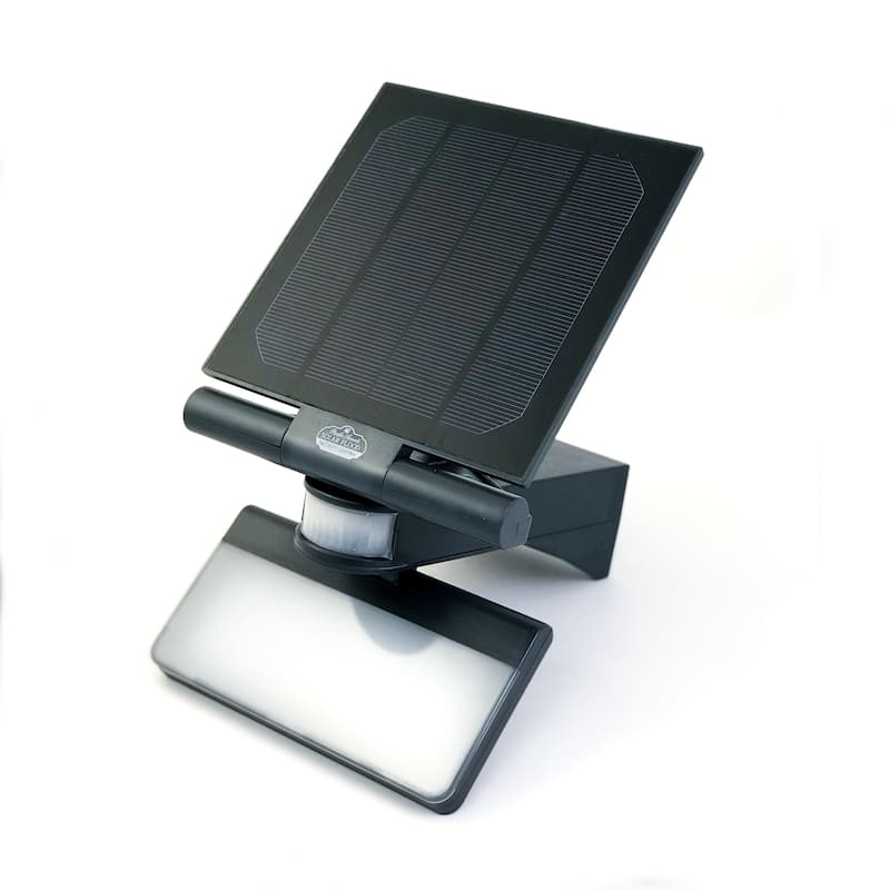 Pacific Accents Motion Activated Solar Flood Light 100 LED - Black - Black