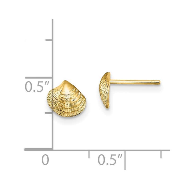 Curata 14k Yellow Gold Mini Clam Shell Post Earrings - 6.45x6.9mm