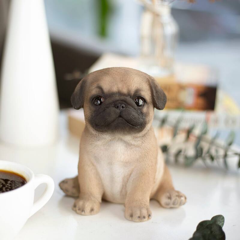 SoReal Brown Baby Pug