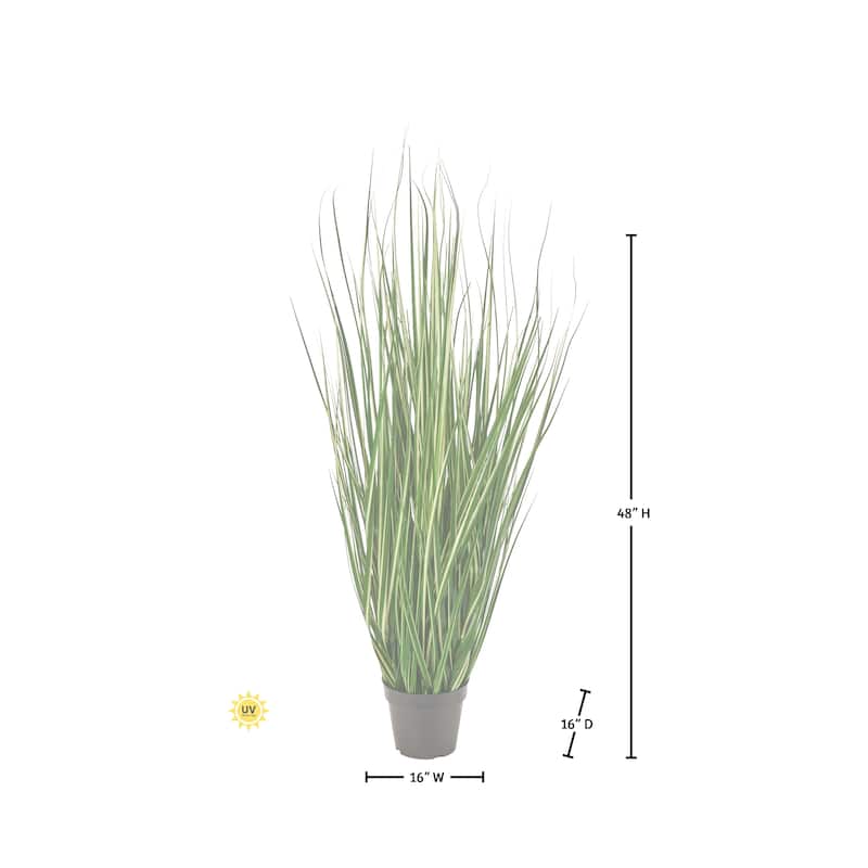 48" UV Potted Variegated Grass