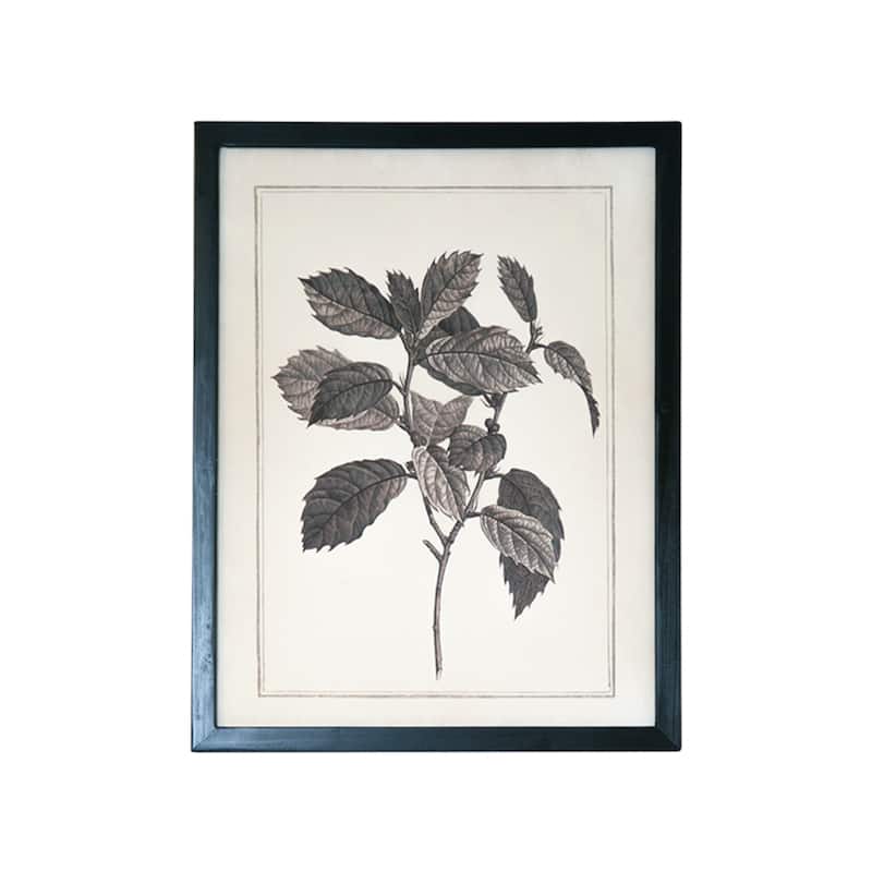 HomeRoots Set of Two Black And White Botanical Leaves Framed Art