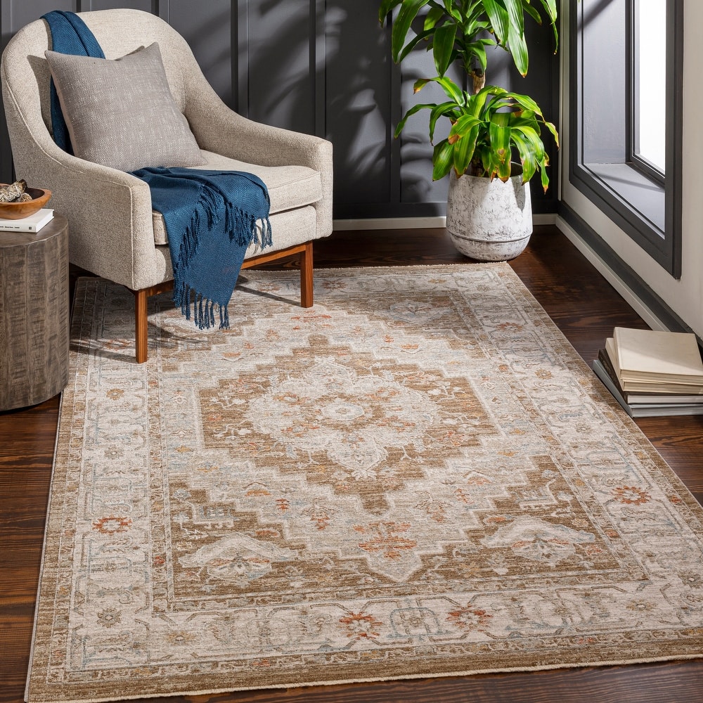Artistic Weavers Rian Classic Medallion Area Rug