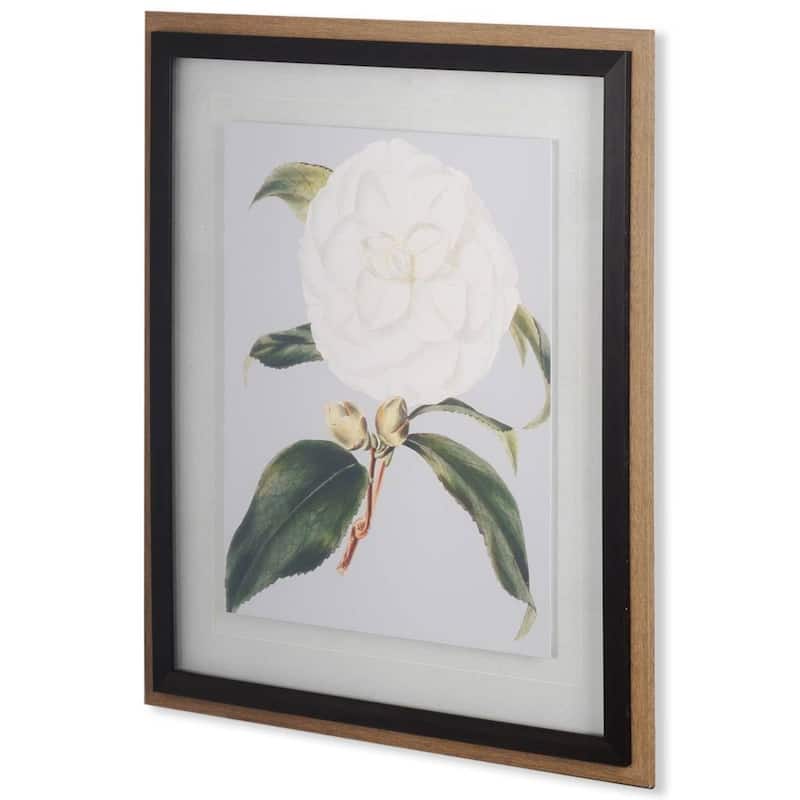 Camellia Japonica I Framed Art Print
