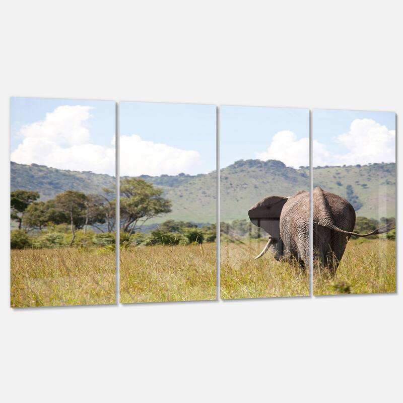 Designart 'Retreating Elephant in Savannah' Extra Large African Metal