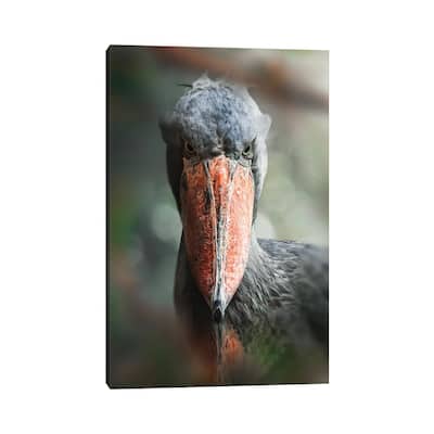 iCanvas "The Shoebill" by Zenja Gammer Canvas Print