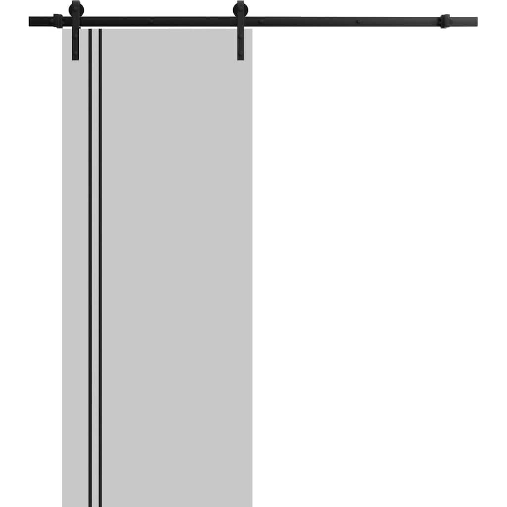Sturdy Barn Door 18 x 80 Planum 0016 Grey Matte with 6.6FT