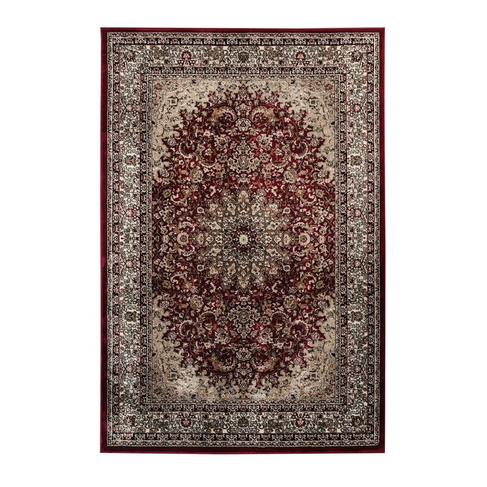 Hollywood Collection Floral Area Rug