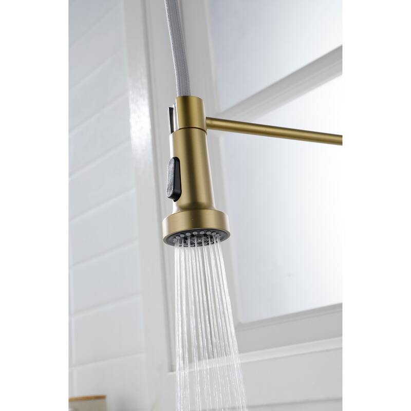 Kitchen Faucet with Pull Out Spraye