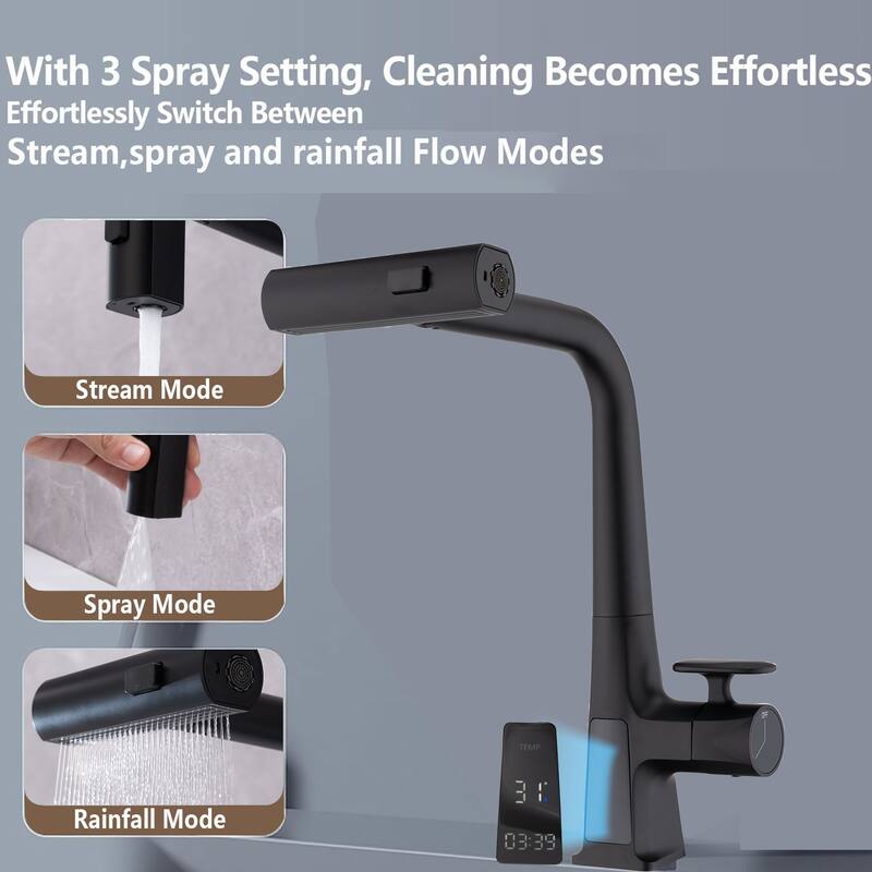 Kitchen Faucet with Temperature Display