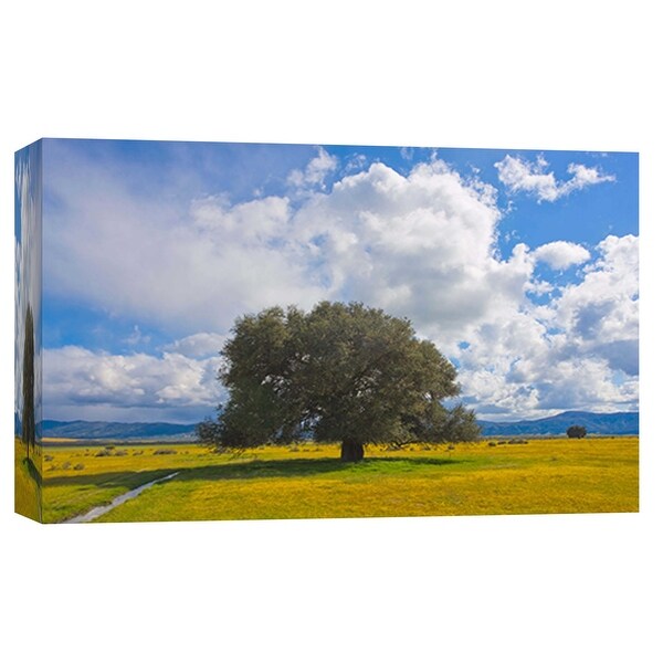PTM Images 9-101964 PTM Canvas Collection 8" x 10" - "High Desert Spring 3" Giclee Rural Art Print on Canvas