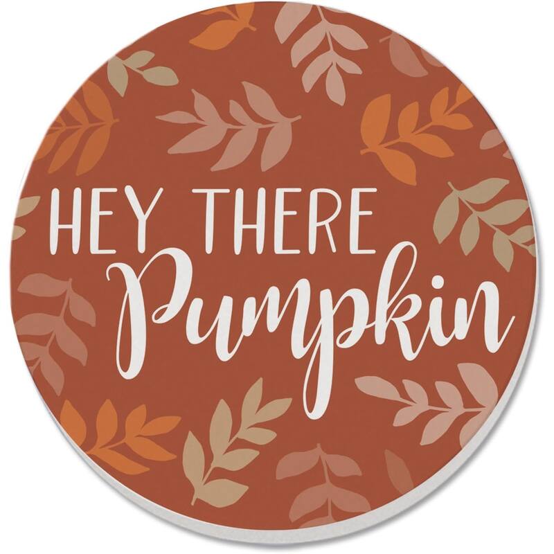 Hey There Pumpkin 4 Pack Absorbent Stone Coaster with Protective Cork Backing Made in The USA 4" Round, Wipes Clean - Multi