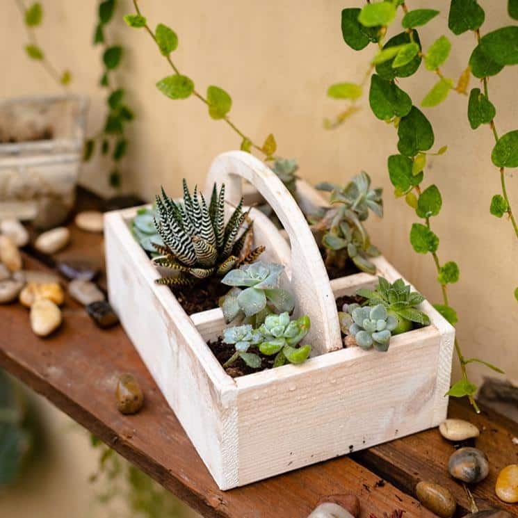 RusticReach Wooden Desktop Organizer Succulent Planter