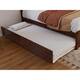 Option Walnut