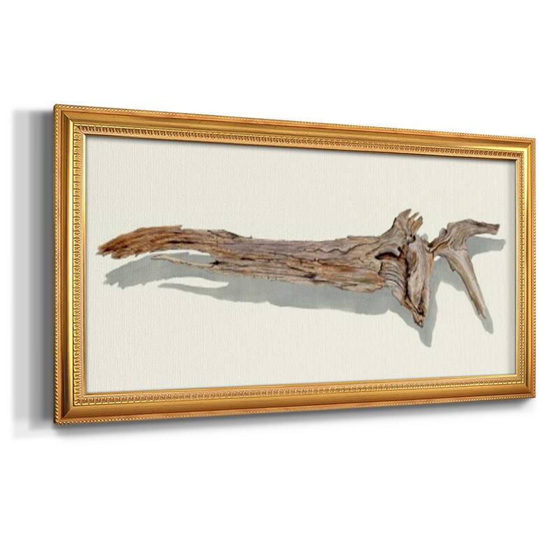 Driftwood Study II Premium Framed Canvas- Ready to Hang