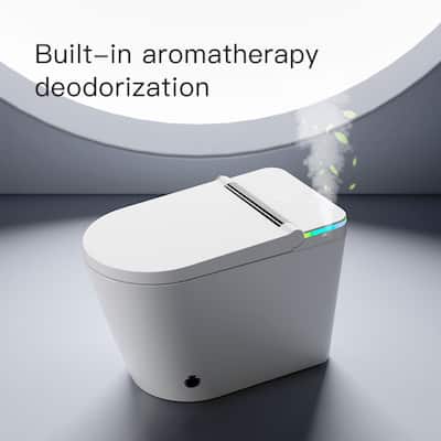 Luxury Smart Toilet with Bidet Built in, Bidet Toilet with Heated Seat, Automatic Flush, Warm Water Sprayer and Dryer