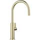 Option Satin Gold