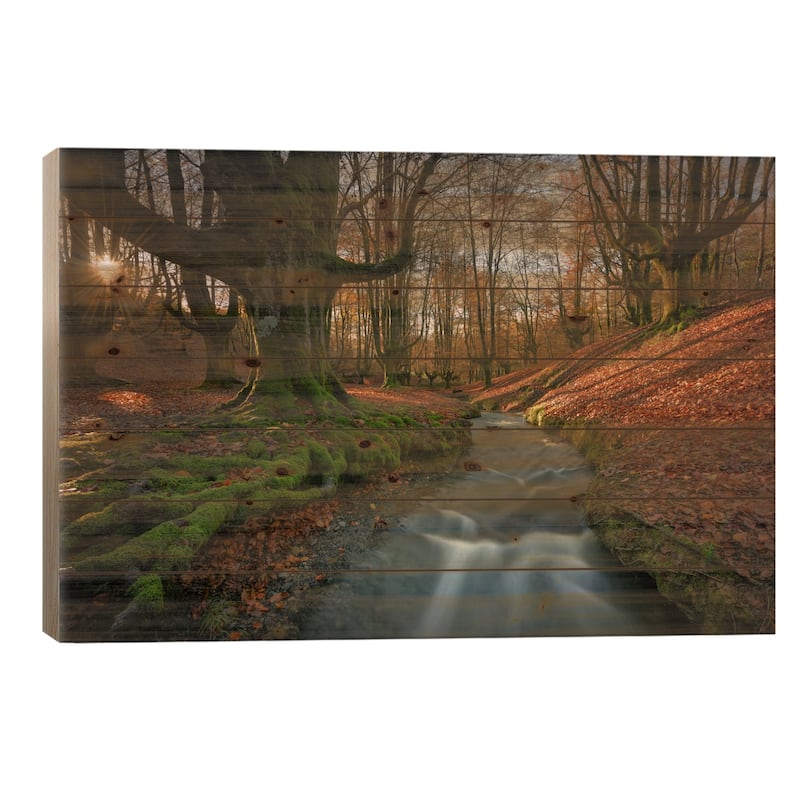 Magical Forest Print On Wood by Sergio Lanza - Multi-Color - 26x40x1.5