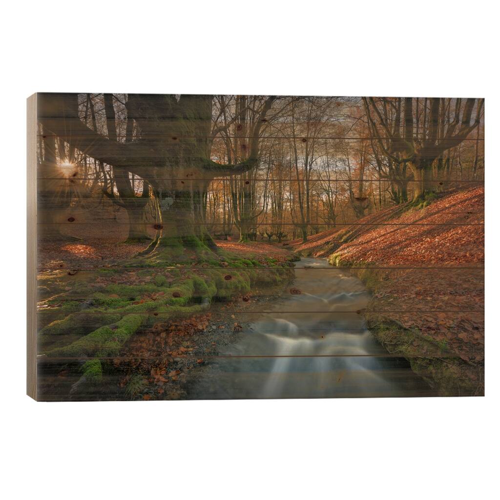 Magical Forest Print On Wood by Sergio Lanza - Multi-Color