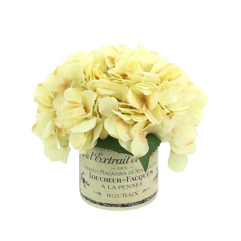 Hydrangea Arrangement in a Glass Vase - White, Cream