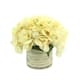 Option White, Cream