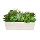 preview thumbnail 11 of 10, Faux Succulent Garden in Wood Washed Ledge Planter