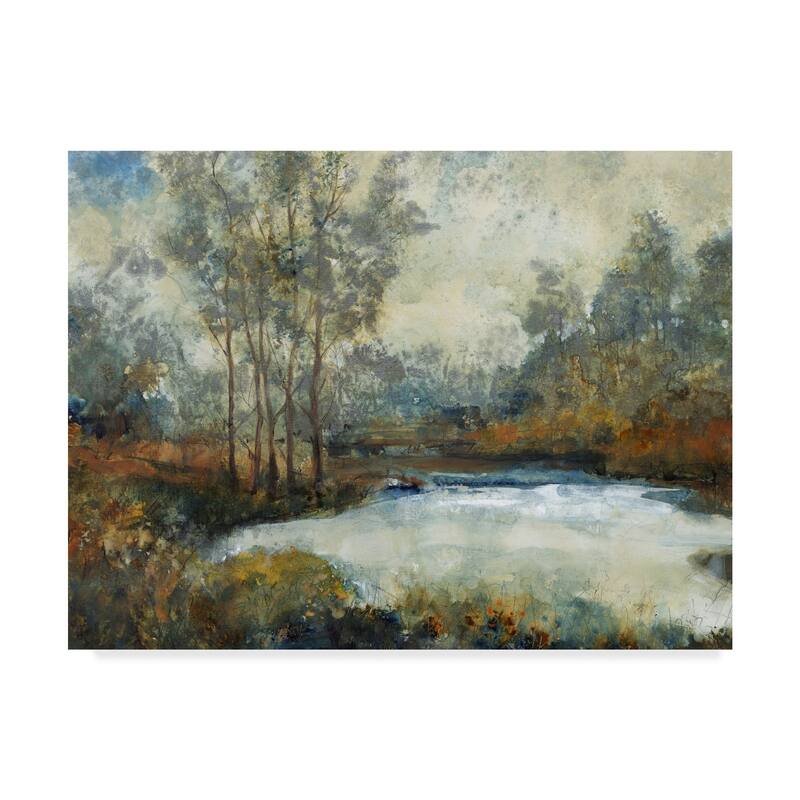 Tim Otoole 'Ethereal Light I' Canvas Art