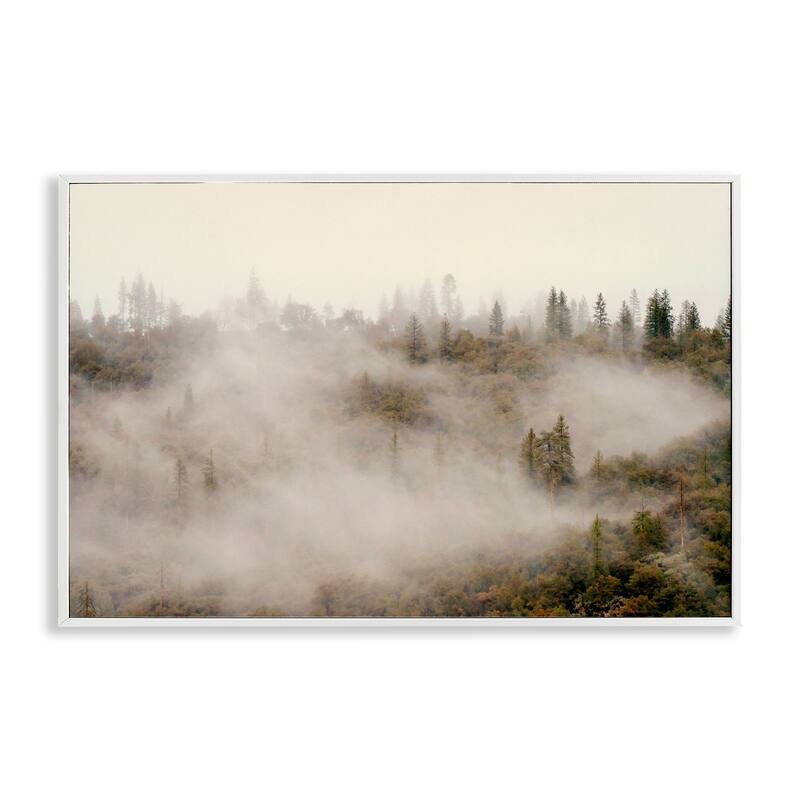 Stupell Morning Fog over Trees Framed Giclee Art Design By Gemma Bardot - 30 x 20 - White