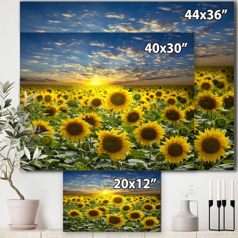 field-of-blooming-sunflowers-large-flower-canvas-wall-art-green