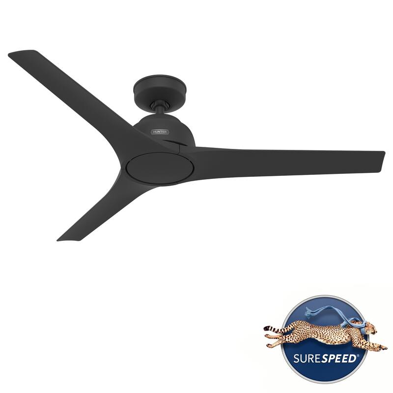 Hunter 52" Gallegos Outdoor Ceiling Fan and Wall Control, Damp-Rated