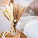 preview thumbnail 8 of 7, VECELO 51 pieces natural dry pampas grass decorations - 51 pieces
