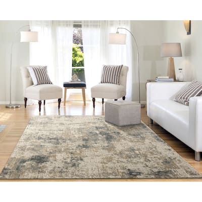 Dynamic Rugs Quartz Traditional Area Rug