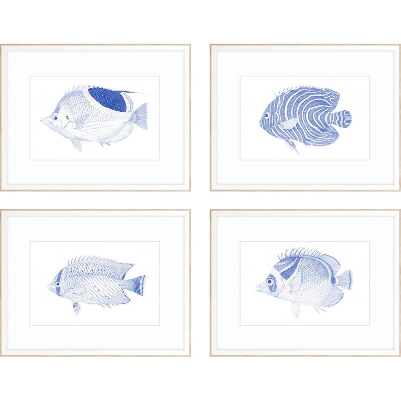 Blue Fish S/4 Framed Art Giclee Under Glass - 21 X 28 X 2