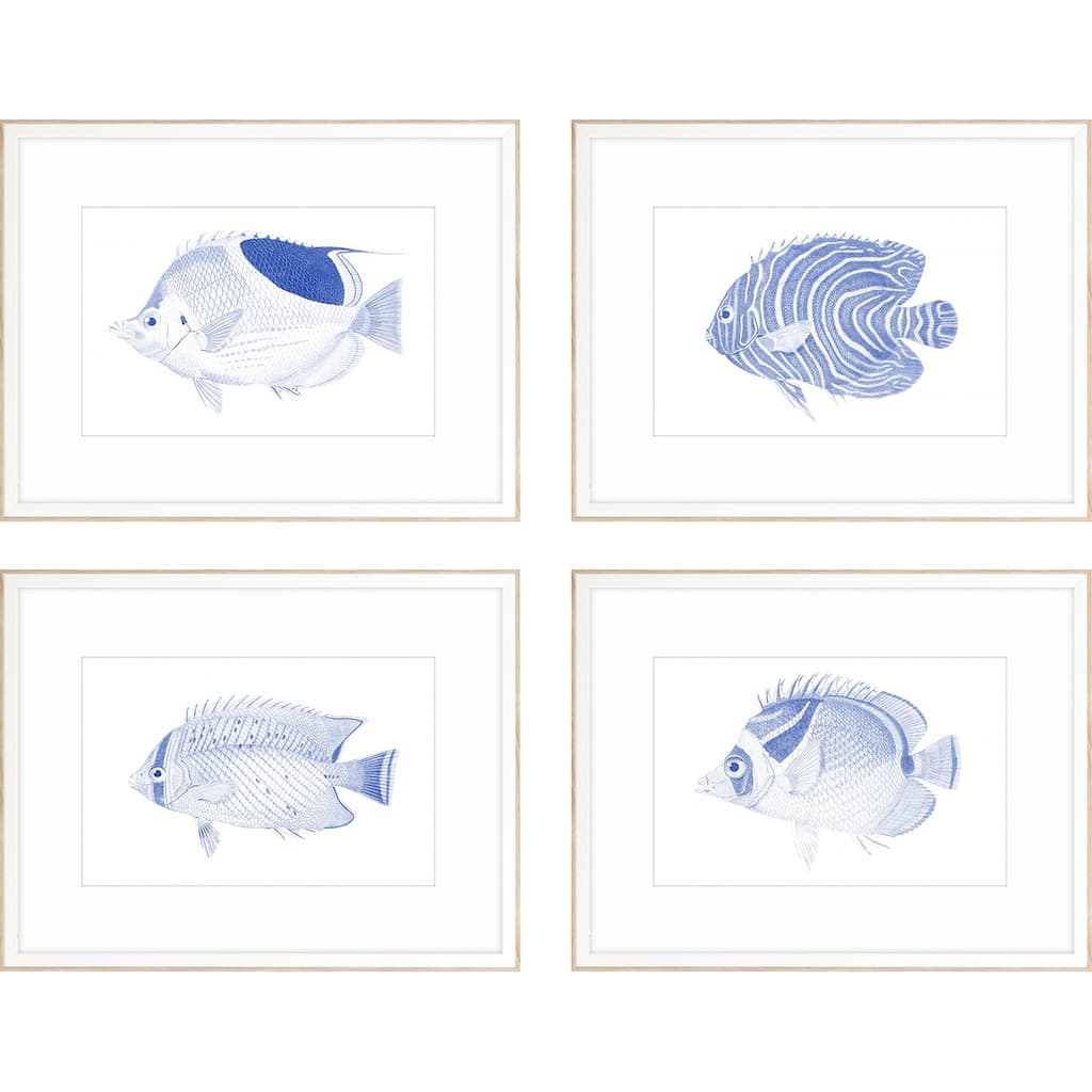 Blue Fish S/4 Framed Art Giclee Under Glass