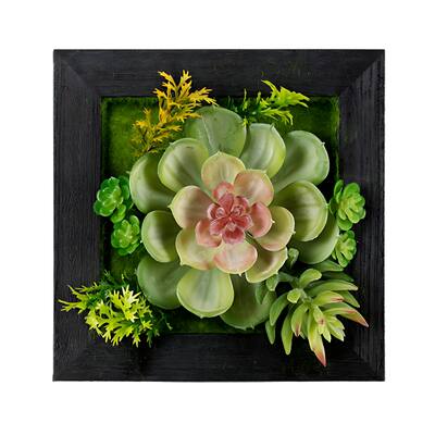 Succulent Wall Box Hanging Decorations - 6" - Set of 6