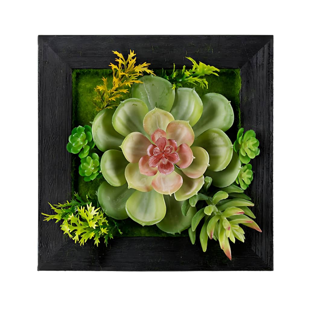 Succulent Wall Box Hanging Decorations - 6" - Set of 6
