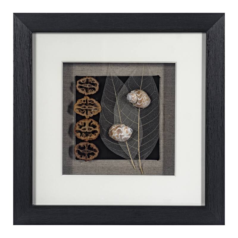 HUJI Land & Sea Shadow Box Wall Décor Set