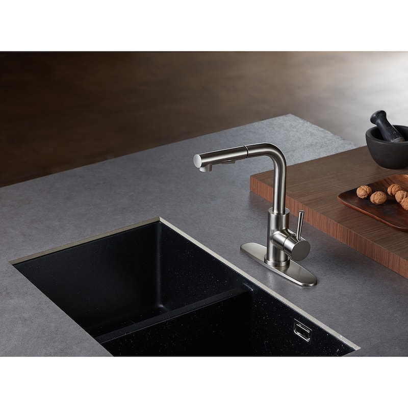 Concord Single-Handle Pull-Out Kitchen Faucet