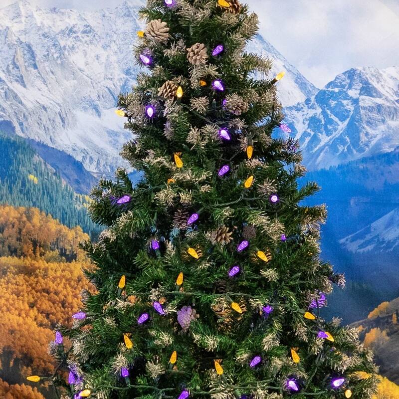 70 Light C6 LED Christmas Mini Light Set, Purple/Yellow, Green Wire, 24 Feet - Large