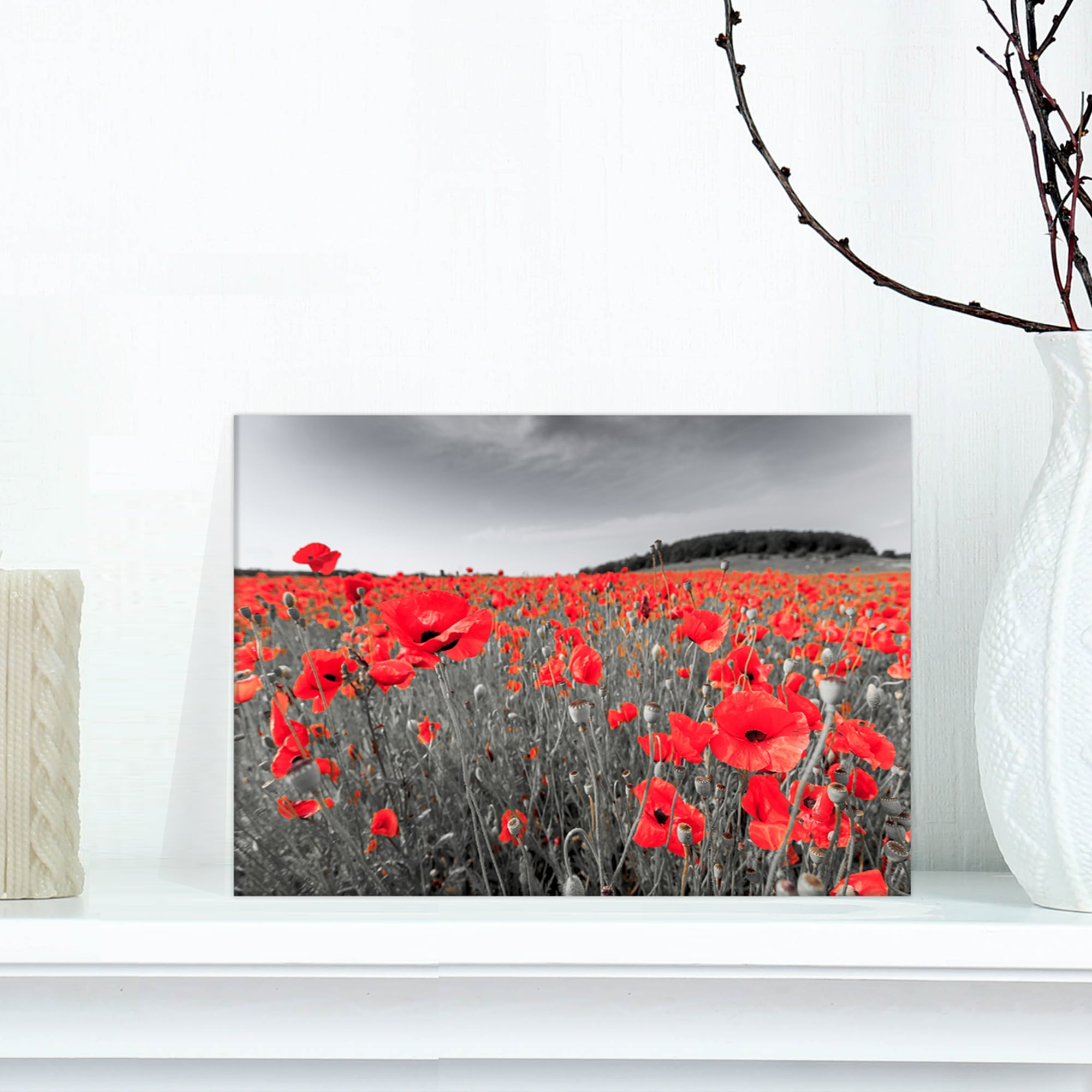 https://ak1.ostkcdn.com/images/products/is/images/direct/687765f62de78c1ff0f04d7b275c244cce81aa9e/Designart-%27Red-Poppies-Field%27-Landscapes-Floral-Photographic-on-wrapped-Canvas.jpg