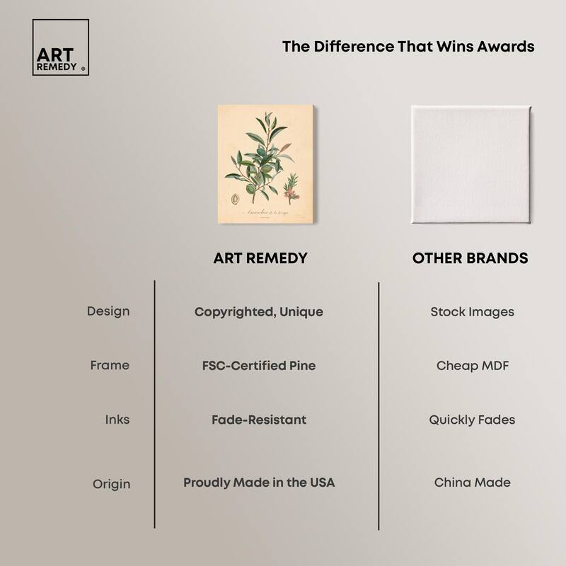 Almond of Georgia I Canvas by Art Remedy, Gallery Wrapped