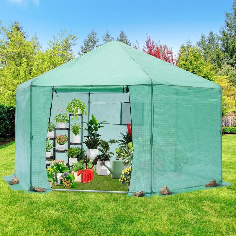 Walk-in Greenhouse, Metal Frame with PE Cover, Roll-Up Door & Window