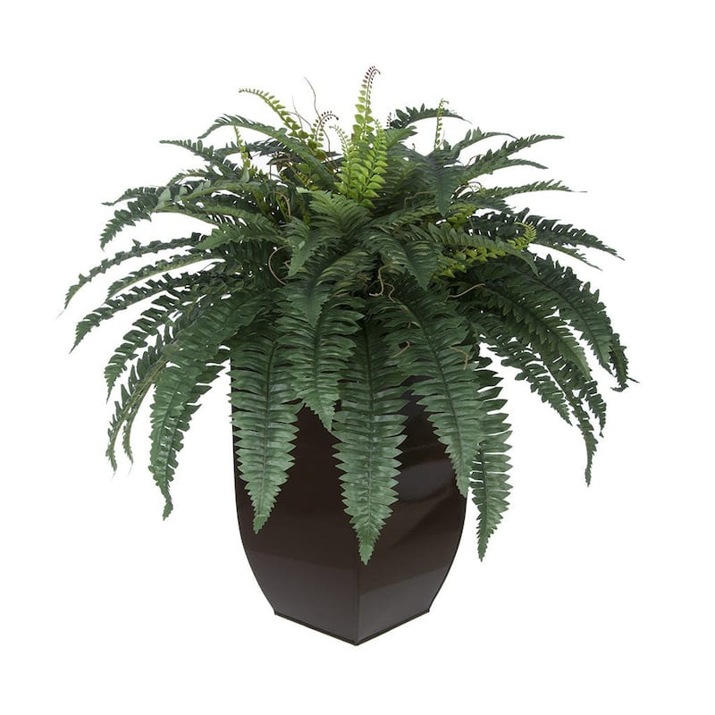 Faux Fern in Tapered Zinc Planter